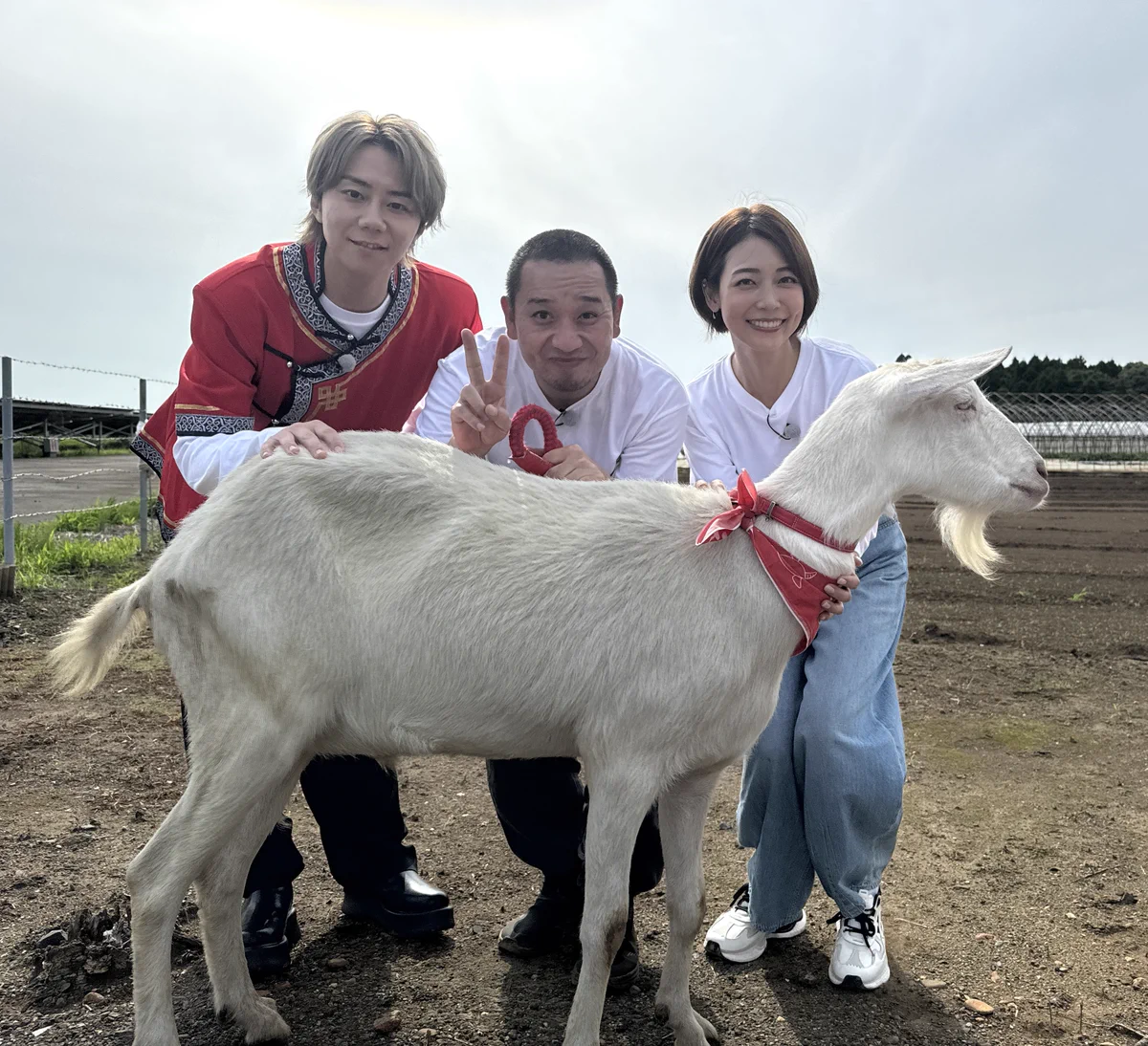 ヤギと大悟【公式】🐐🌱新グッズ発売中👕 (@yagitodaigo) / X