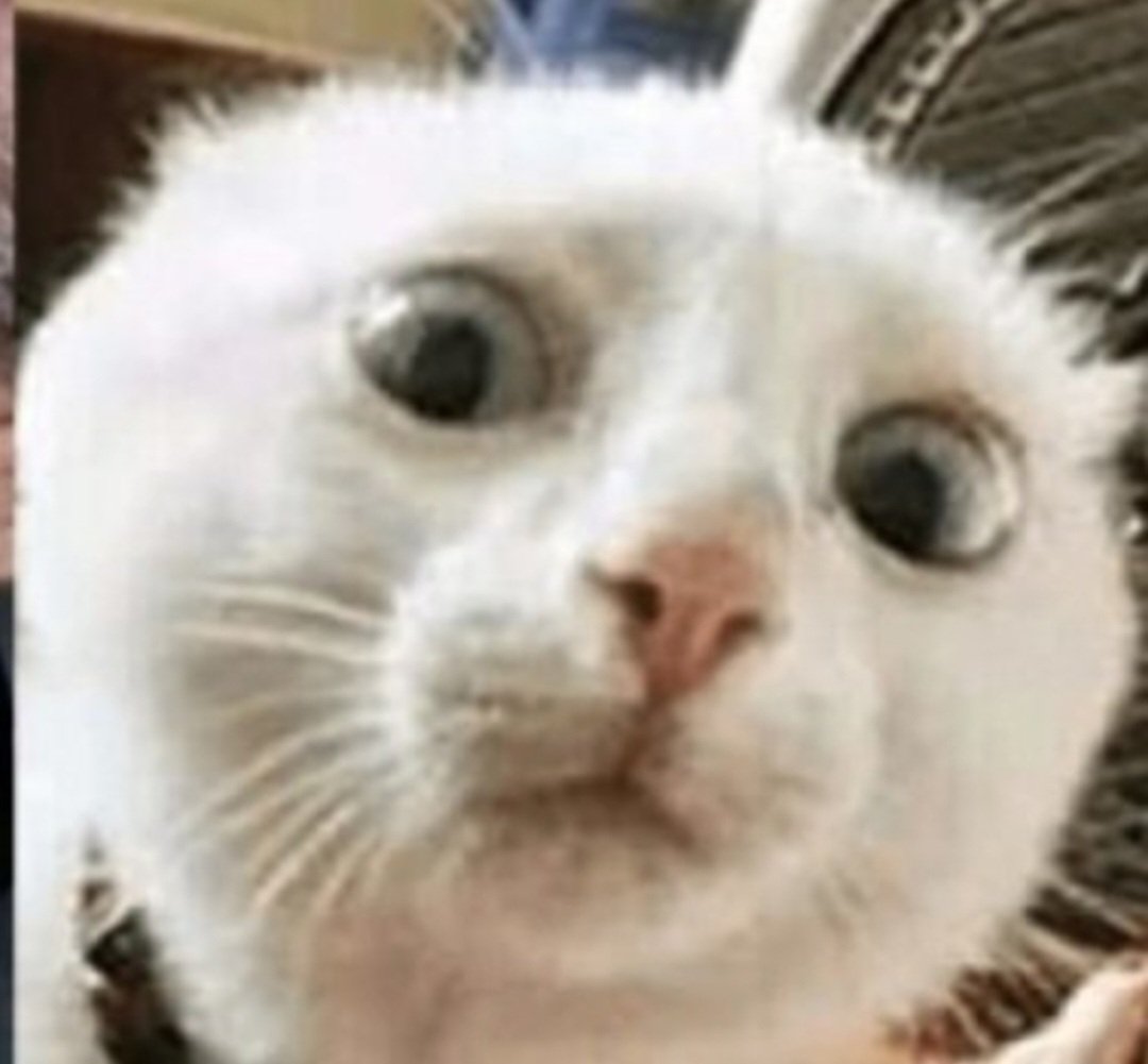 Chechu (@eltwdechechu) on Twitter photo 