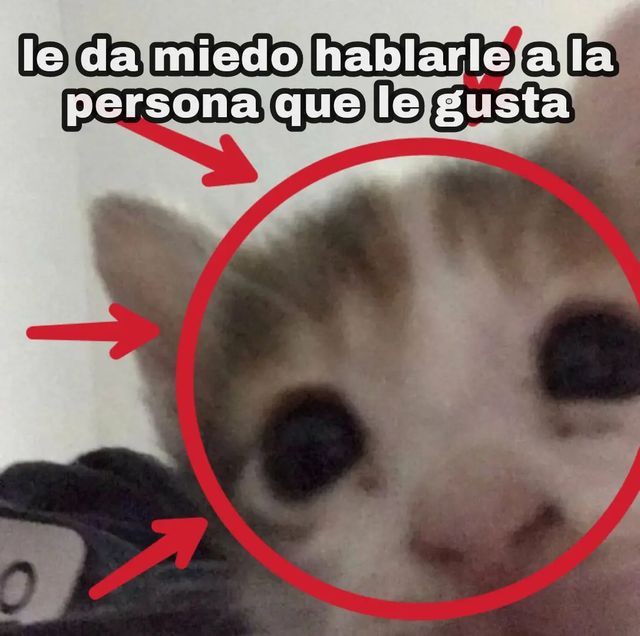 _monkberry_'s tweet photo. Soy 😔 https://t.co/7OVGodgEuu