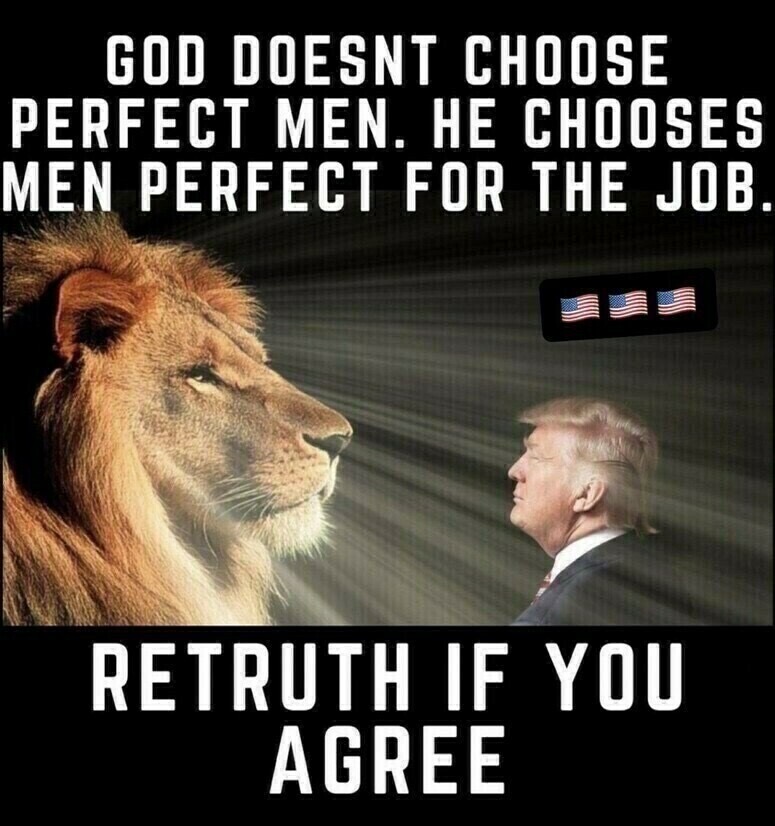 PeriklesGREAT's tweet photo. @elonmusk Trump is a LION among SHEEP ! https://t.co/cVbDsShAJ6