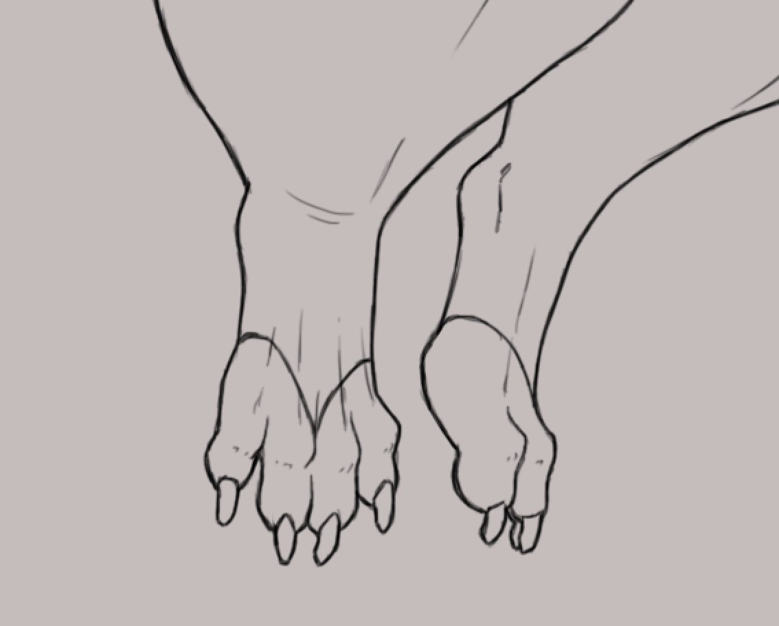 Dragon feets