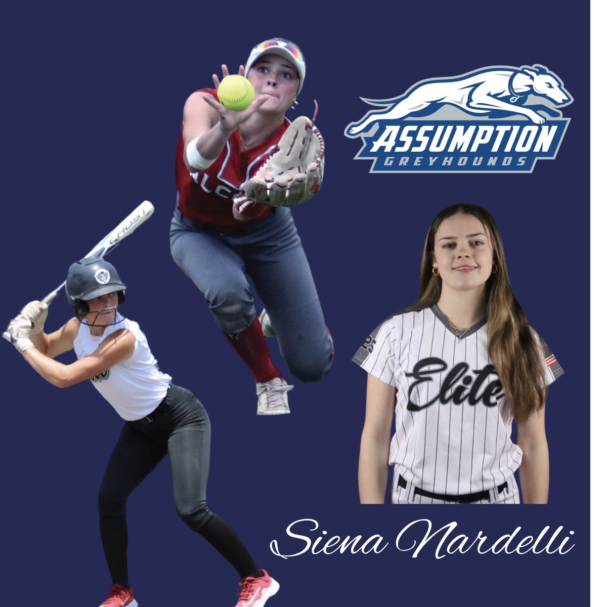 Bombers Elite tweet media