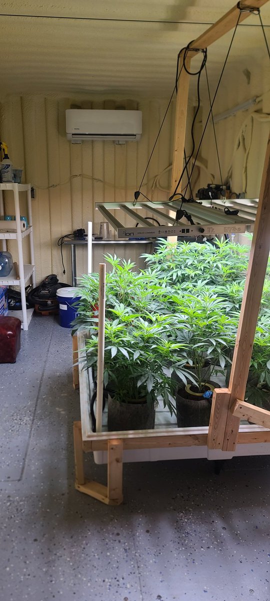 R&amp;D room is almost completed 🙏 all parameters set. Perfect pheno hunting/ breeding environment. Commercial rooms aren't typically the best for R&amp;D.
