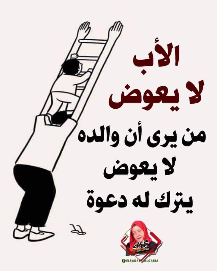 SOLA tweet media