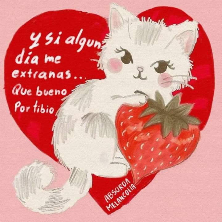 absurdamela's tweet photo. https://t.co/51q1JQqOqr