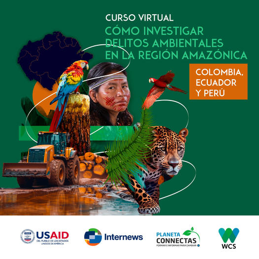 TinkuEditores's tweet image. ¿Eres periodista, comunicador o tienes interés en informar acerca de la Amazonía?📝Fortalece tus conocimientos con este curso virtual: “Cómo investigar delitos ambientales en la región Amazónica”. 
¡Inscripciones hasta el 14 de julio! bit.ly/3zHnqon