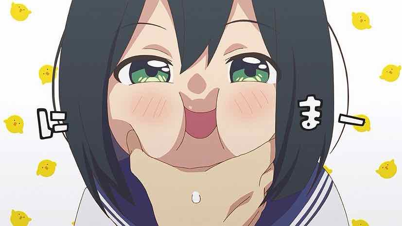 world’s first ethical chaser