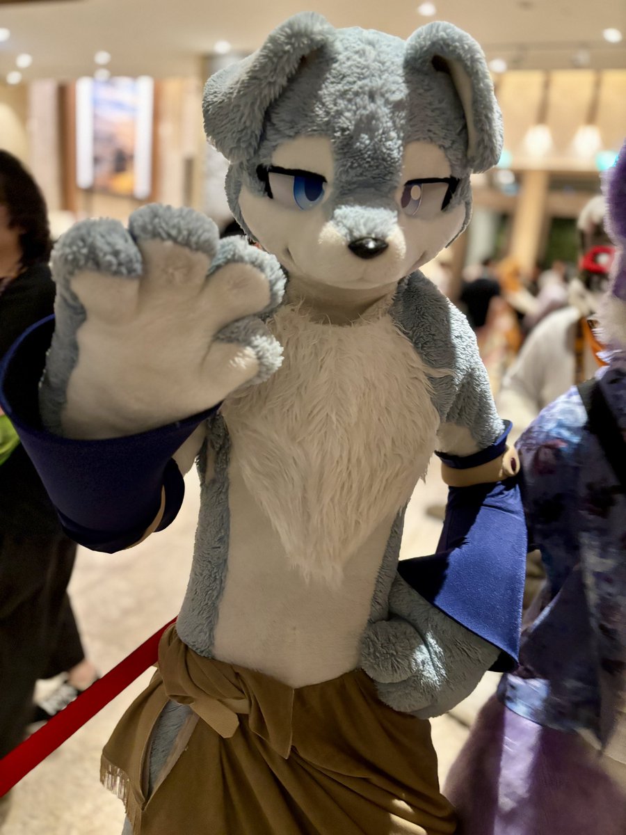 ByakuyaCoyote's tweet photo. #furmit24 #pdtk

おす！

@nemus_ys https://t.co/bW7uZVmRnN