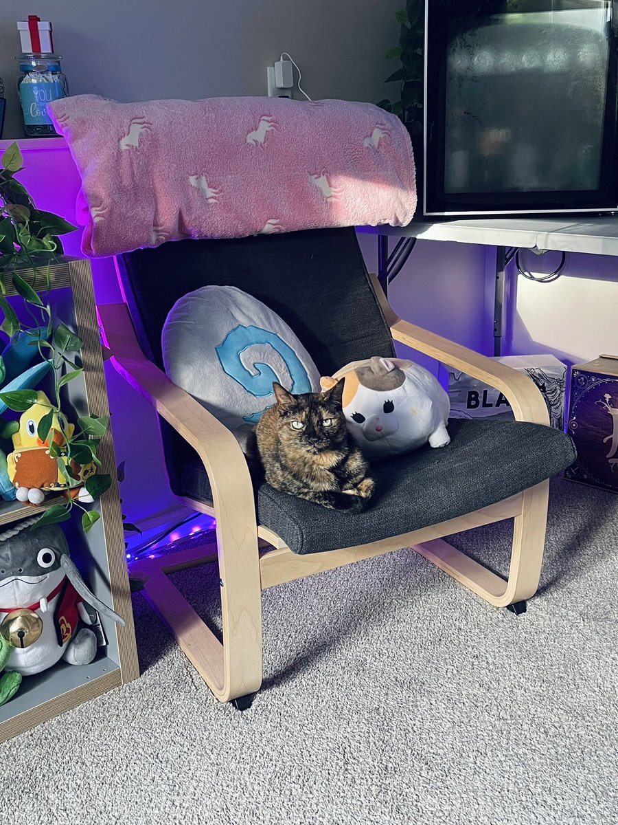 ♡ Senna ♡ tweet media