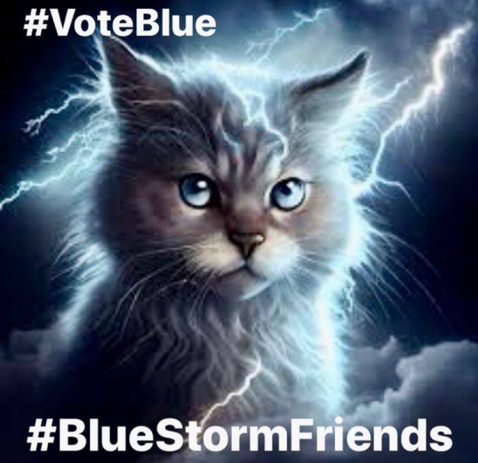 BlueStormComin1's tweet image. #PetsForBiden

This is a meet and greet where you show off your pets or memes.  

Let’s see some pet photos!

Repost

#CatsofTwittter #DogsOfTwitter
 #CatsOfX #DogOfX
#PETSAREFAMILY