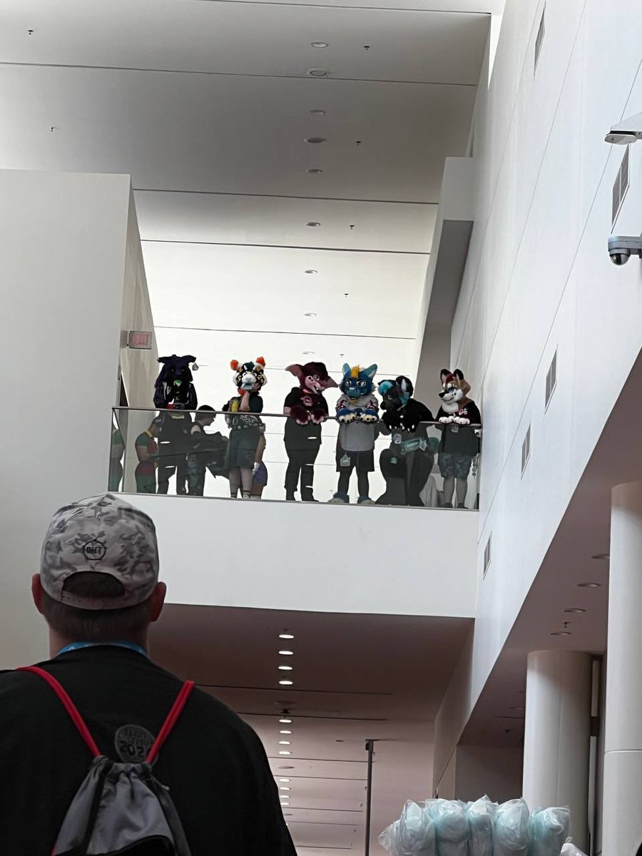 Western MA Furs tweet media