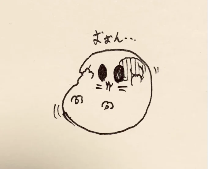 腹筋を重点的にやるもちぷちさん🐱 