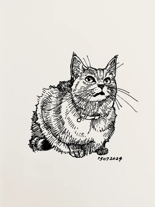おはようのこま