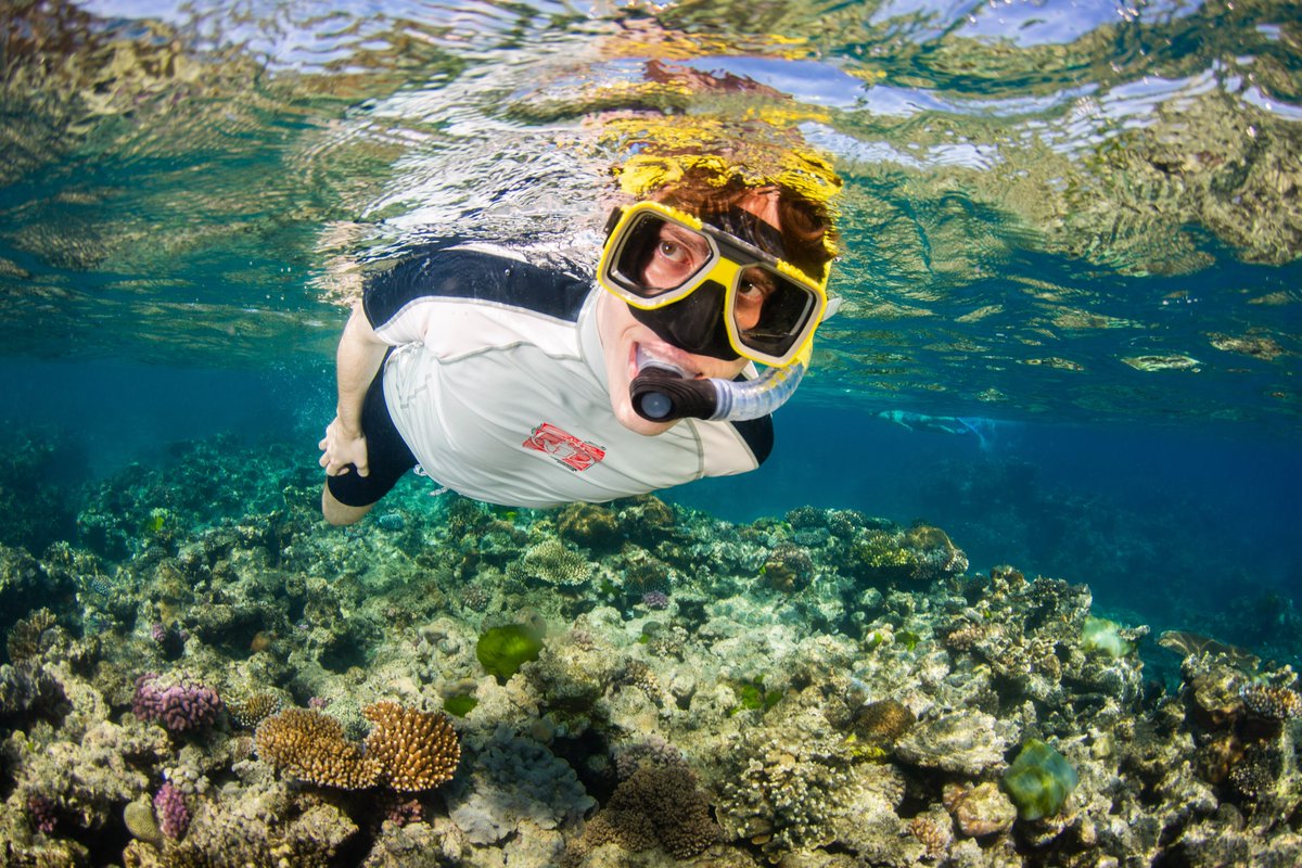 Ben Auch tweet media