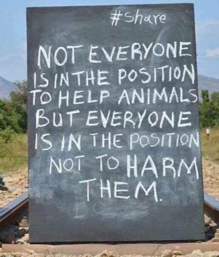 Dalbodog's tweet image. Yes, so be nice!!!!