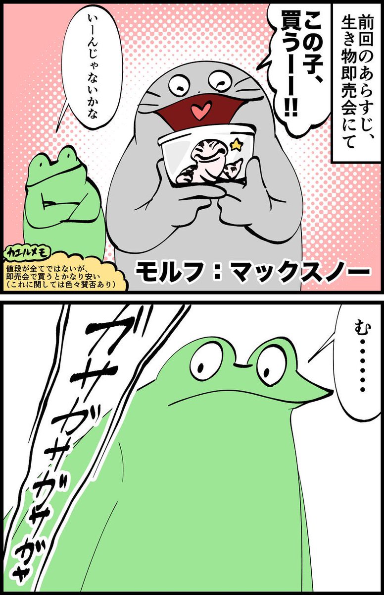 つづき🦎
