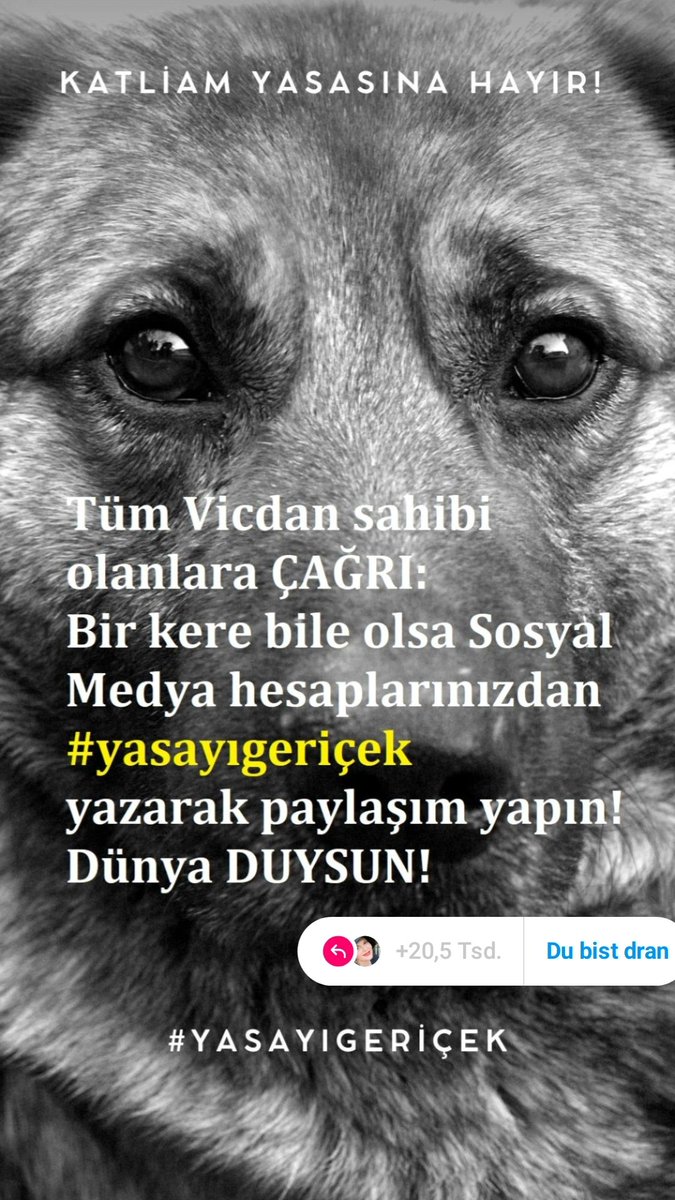 maralnora's tweet photo. #YASAYIGERİÇEK https://t.co/LK7D1sqQAk