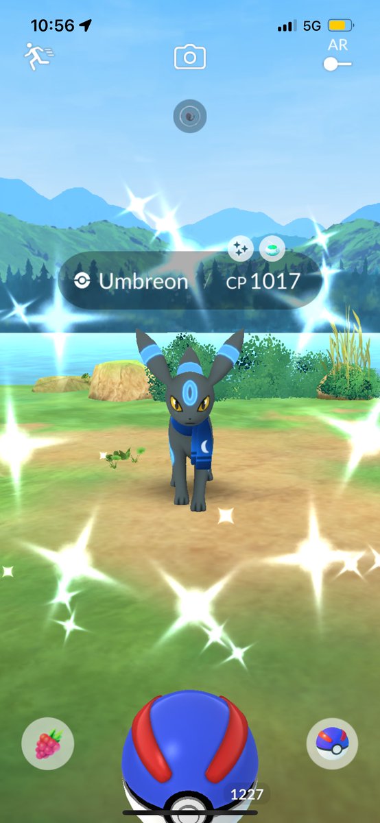 Colby Fitz tweet media