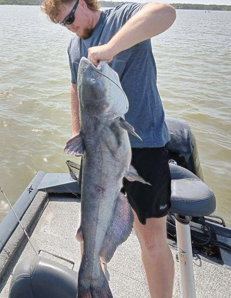 Post media