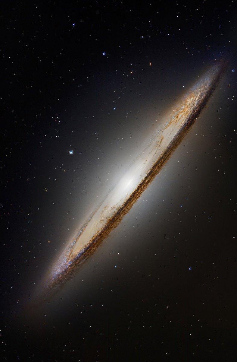 CuriosityonX's tweet photo. Sombrero galaxy from Hubble Telescope 🔭 https://t.co/r9BY7bb98J