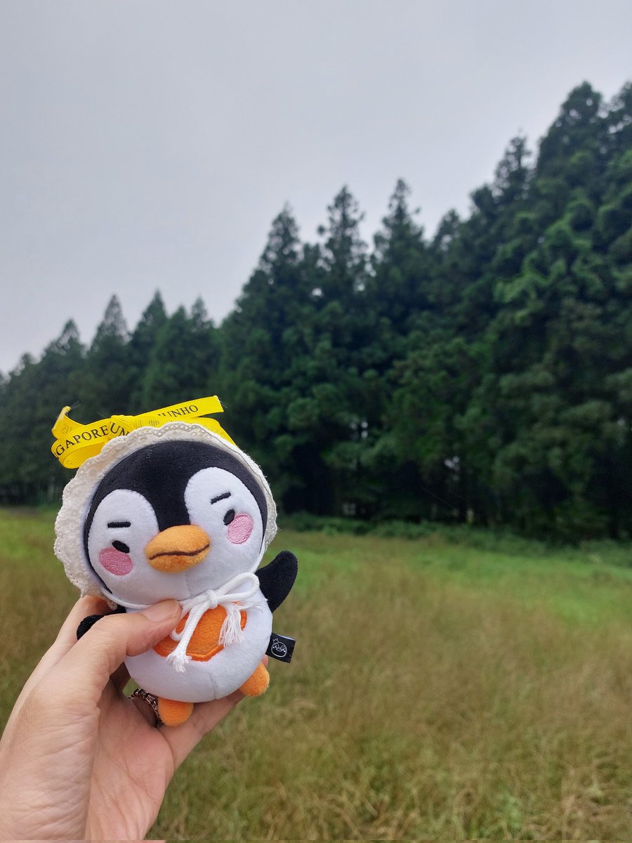 gangdusarang's tweet photo. 쏟아지던 비가 잠깐 숨 쉴 틈을 줘서 다녀온 비밀의 숲🌳
다시 가 보길 참 잘 했다🥰
모두들 그 이슬비를 다 맞으며 카메라들고 😆
#UNHO #록시땅 #비밀의숲 #제주도 광고 촬영지 https://t.co/smNiISUsB2
