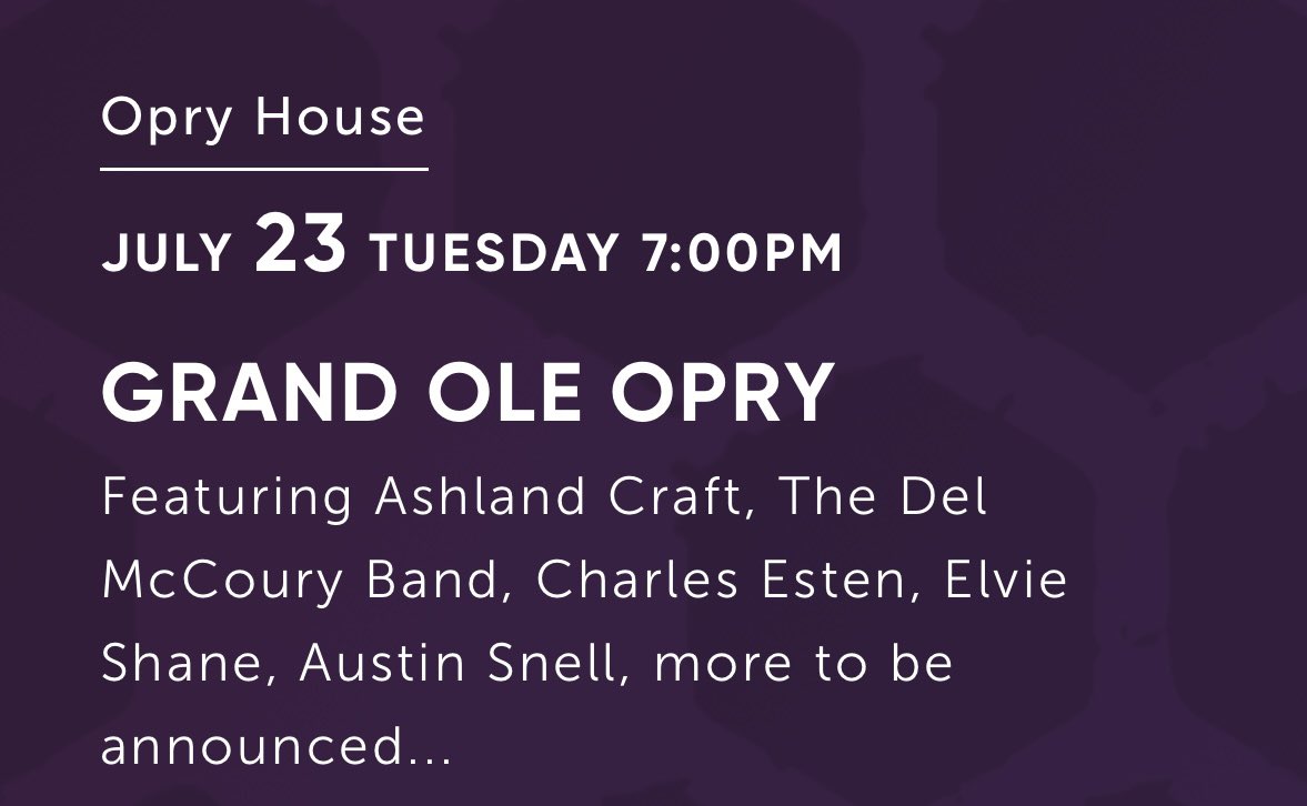 HollyBear tweet media