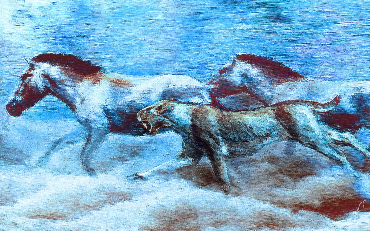 Velizar Simeonovski tweet media