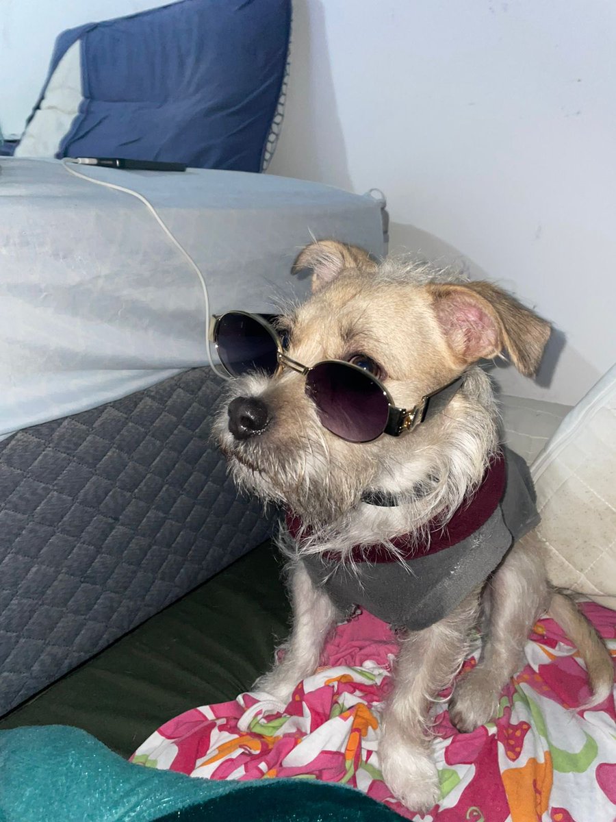 httpdasss2a's tweet photo. meu filho mais novo no seu dia menos modelo https://t.co/cEqDRo2DNz