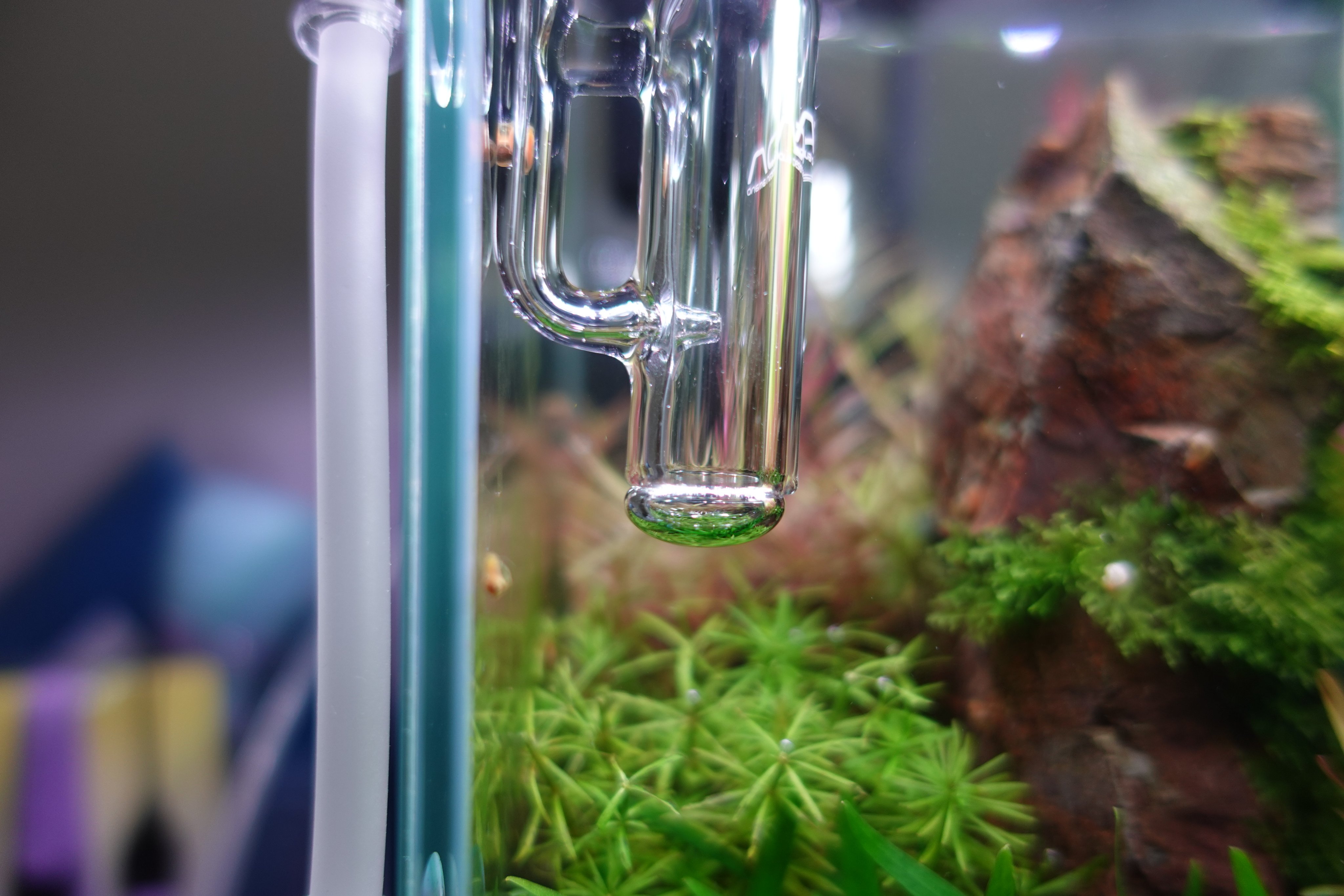 未使用　ADA パレングラス・ミニ　CO2 ADA's masterpiece] Review of the Bellglass Mini, a CO2