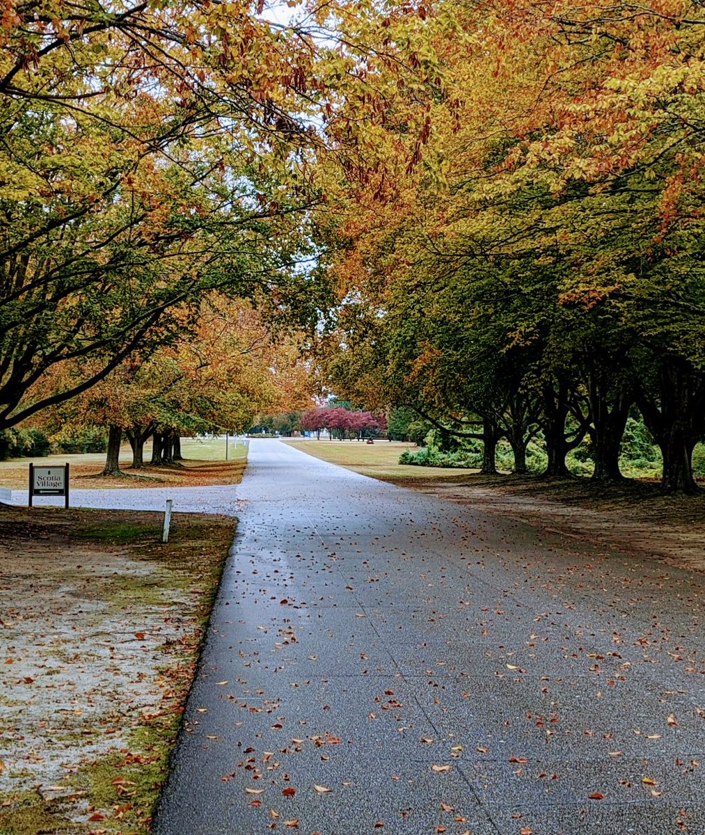 St. Andrews University tweet media