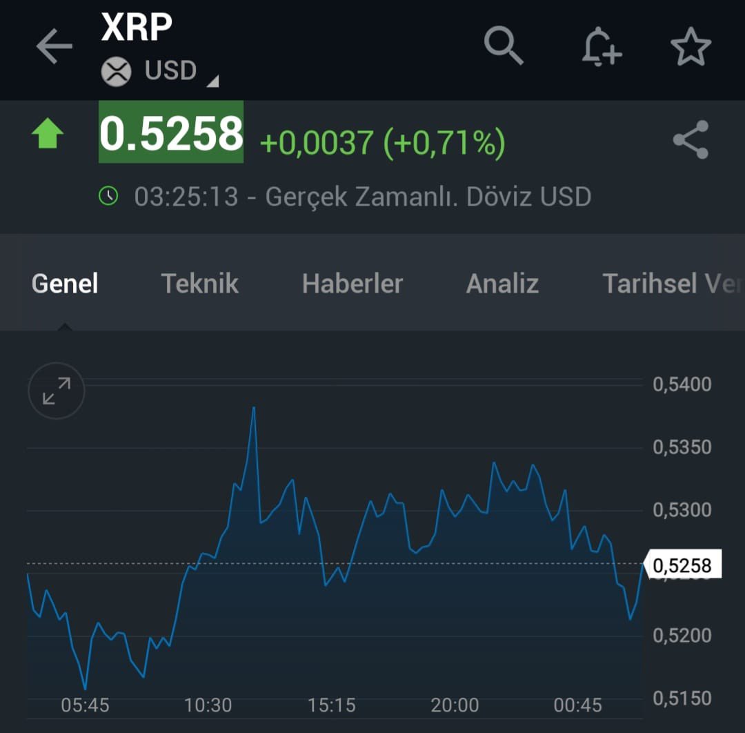 XRP. Yani Ripple. Bu koin yükselecek. Bu hafta.