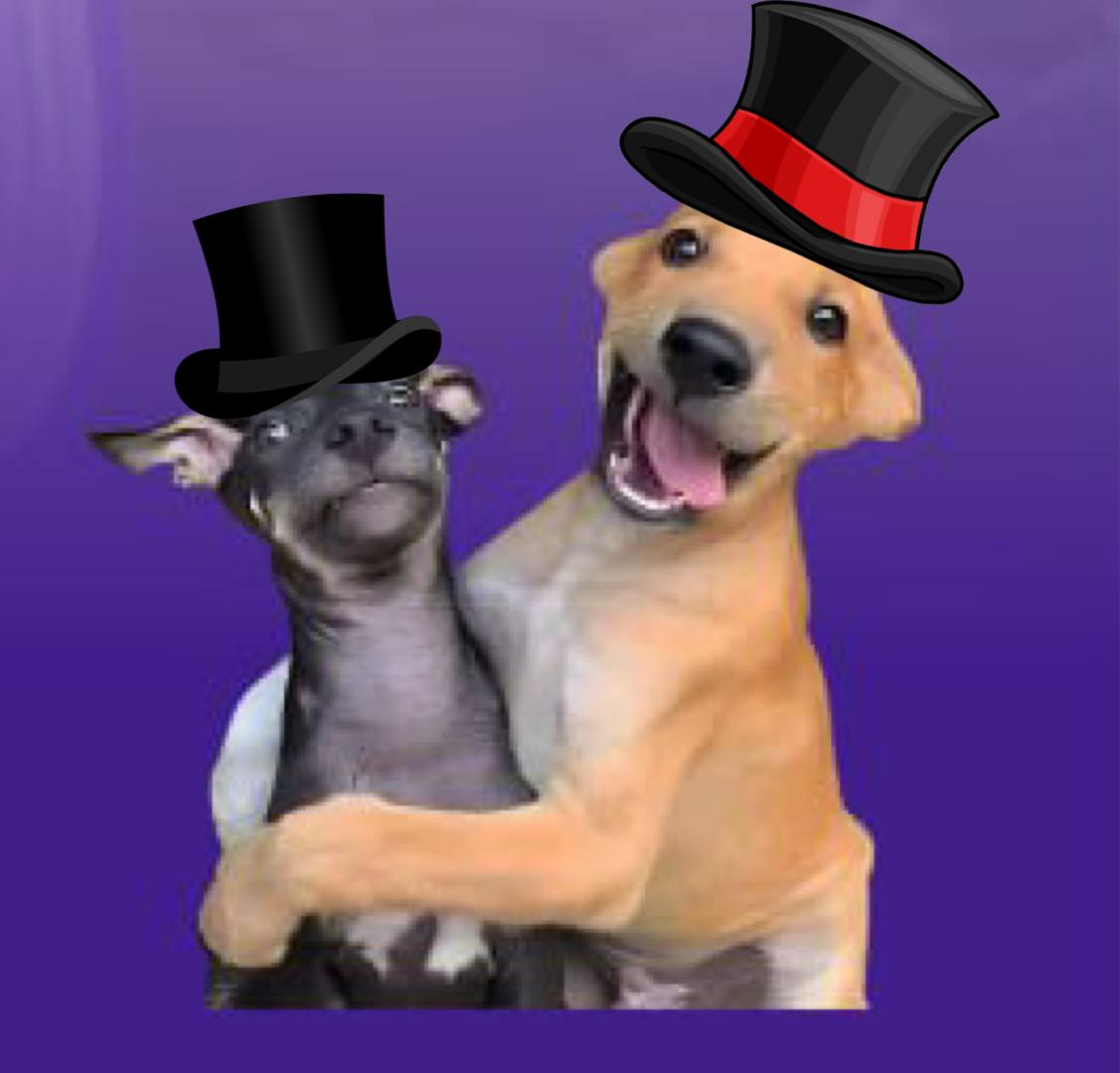 Raydium baby 9yDfJ3f8DmtNLj2D47g9TkVet51MxYQDLMYBeecrpump