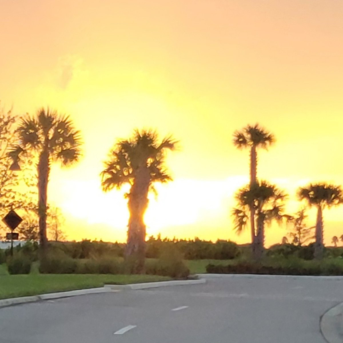 Amazing sunset tonight in southwest Florida!