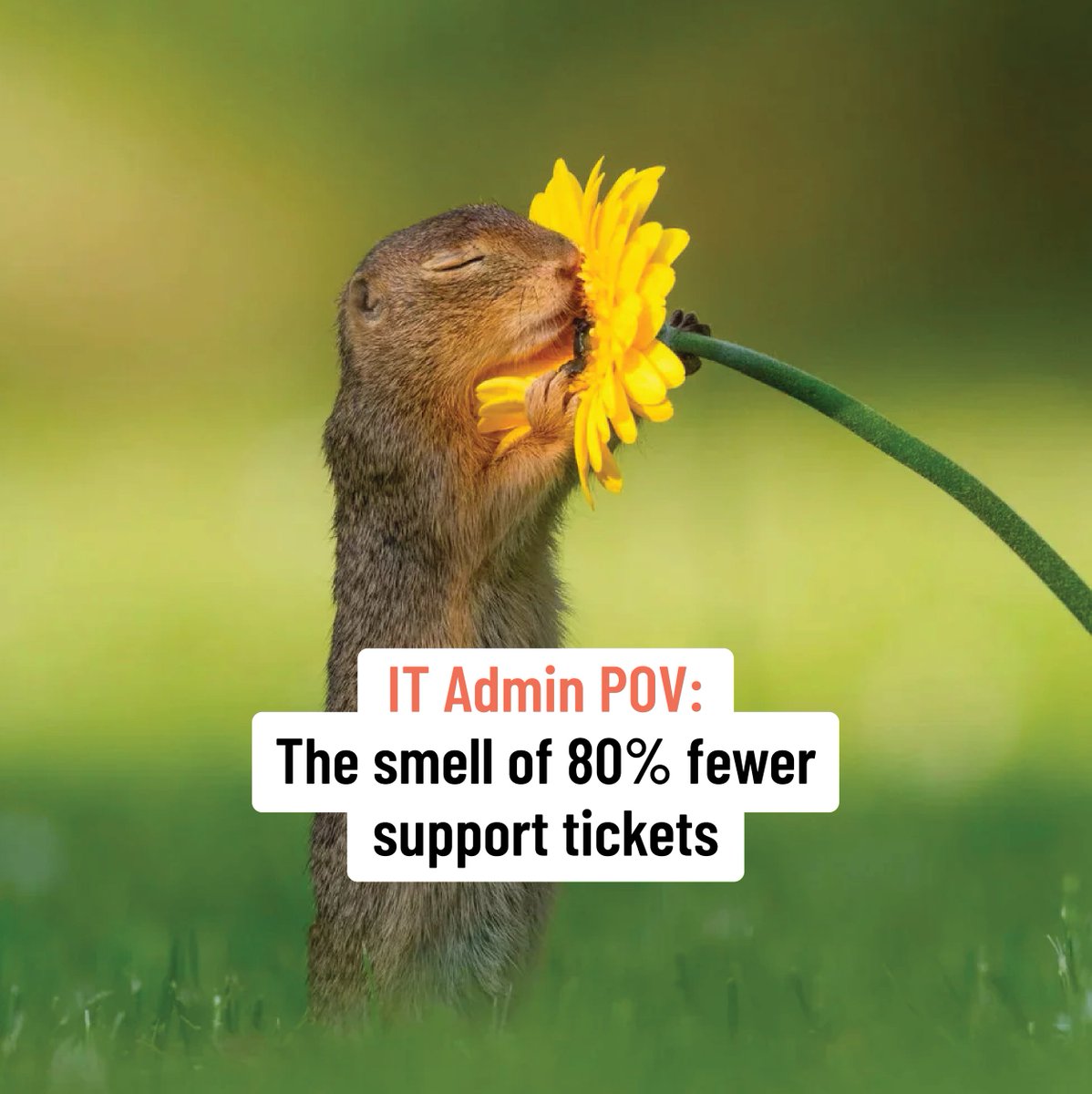 AdminByRequest's tweet image. Just imagine... 🤤

With @AdminByRequest, reducing your number of support tickets isn&apos;t just a dream - it&apos;s a reality. Empower your users to self-service securely and watch your IT department&apos;s workload lighten.

#ITMadeEasy #Cybersecurity #AdminByRequest