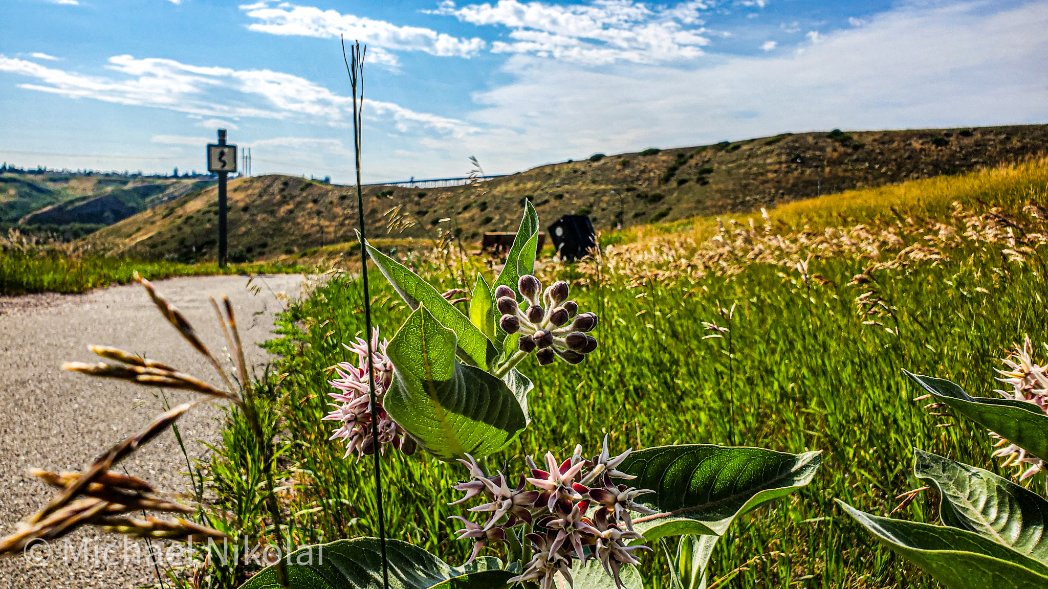 It was a beautiful evening to do some exploring in Lethbridge,Alberta!  I'm loving the scenery here!!

#sundayvibes 
#ShareYourWeather 
#explore 
#RoadTrip