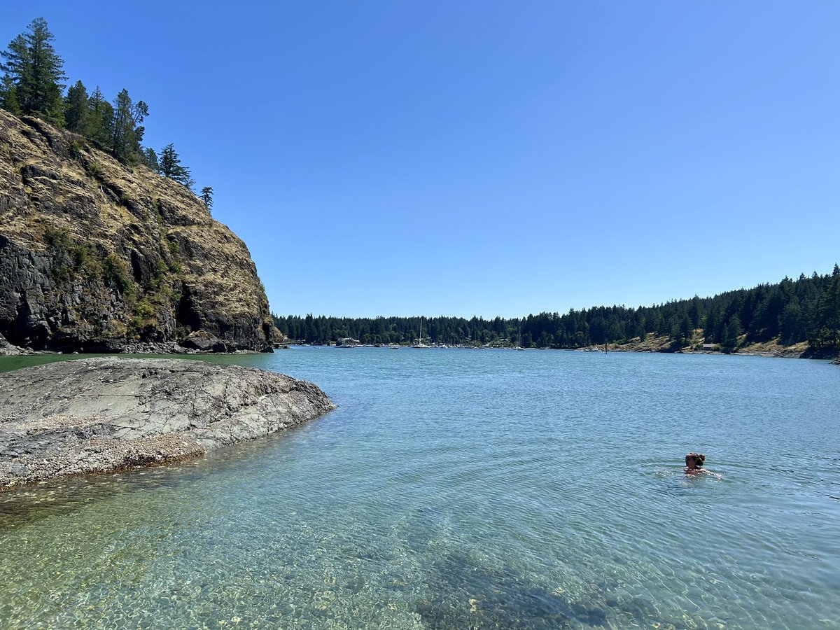 RachelDNurse's tweet image. I ran this morning, but it was a boring #10k so whatevs. It was basic mileage, nothing special, but then THIS HAPPENED! Oh man, @QuadraIsland is amazing! Highly recommend! #paddleboarding