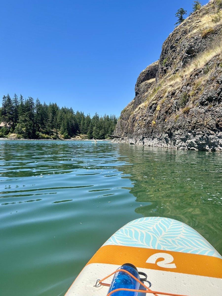 RachelDNurse's tweet image. I ran this morning, but it was a boring #10k so whatevs. It was basic mileage, nothing special, but then THIS HAPPENED! Oh man, @QuadraIsland is amazing! Highly recommend! #paddleboarding