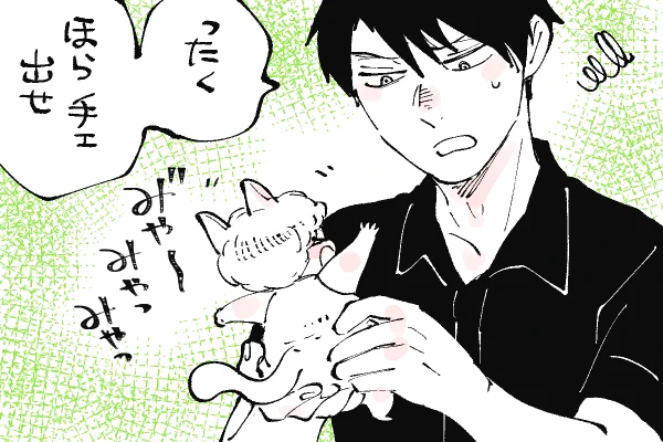 🐱キラキラにゃんこ生活
👅 