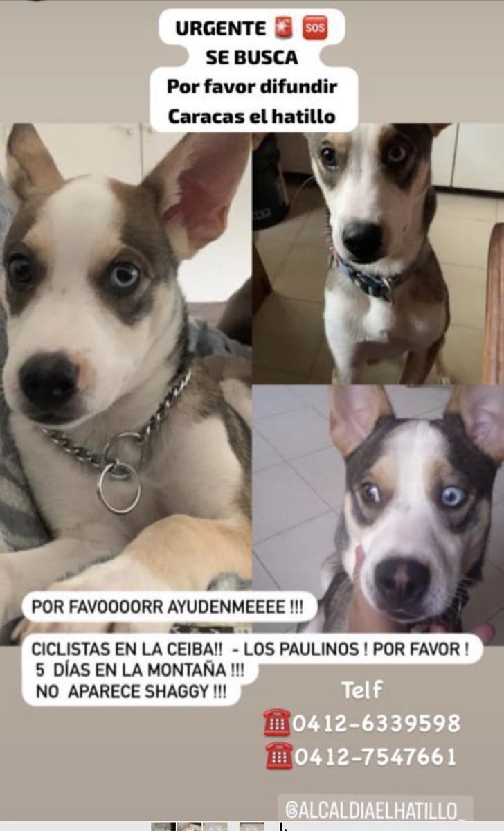 Ayúdanos perdido en el HATILLO
