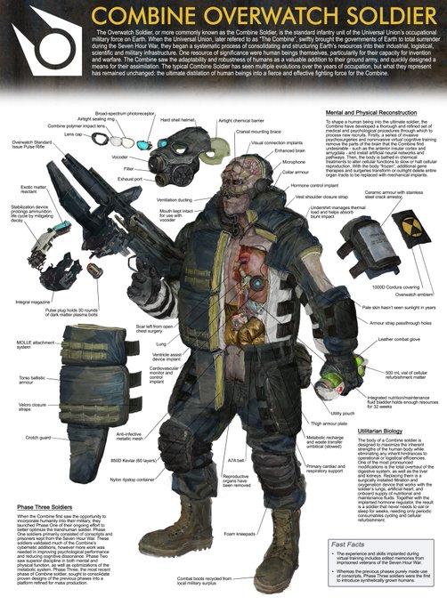 Combine Soldier cross-section