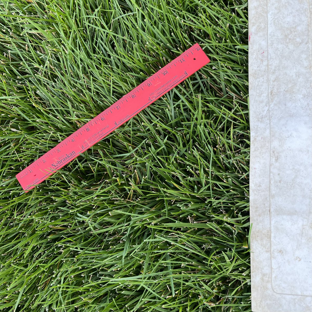 e10rowley's tweet photo. This a.m. The Boys told me they broke a 25-foot tape measure setting-up a 46-foot mound to practice their pitching.
Tonight I found this set-up in the grass.
Unsure if I’m impressed with their ingenuity and persistence … or afraid I’m raising the village idiots. #MaybeBoth https://t.co/lfrbfRCpoo