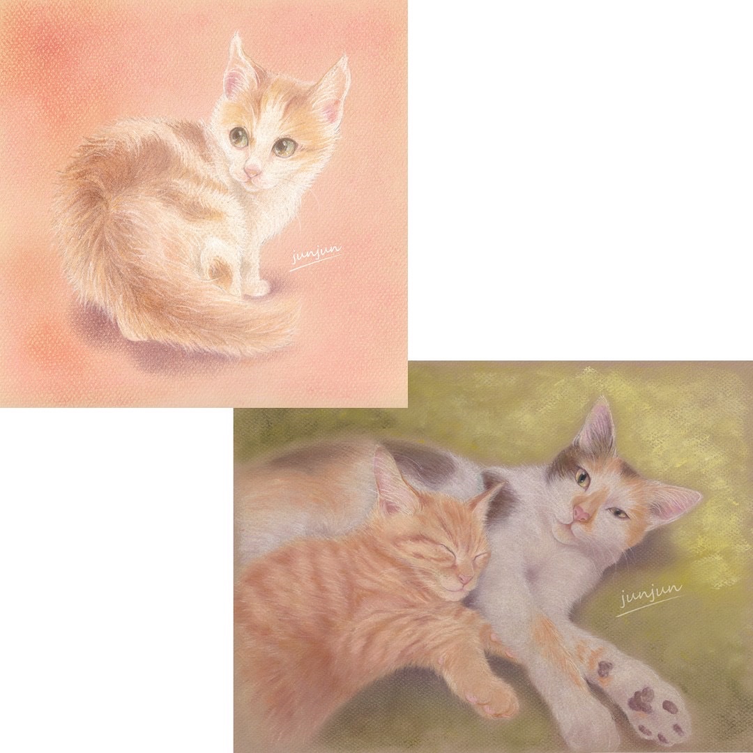 pastel_junjun's tweet photo. 【パステル&amp;色鉛筆】
パステルと色鉛筆を使用した似顔絵メニューです。

紙の上で色を重ねることで混じり合い深みのある色が生まれてきます。

リアルな雰囲気を軸にしつつ、優しさ、毛の柔らか、可愛らしさを表現させて頂きます。

#ペット似顔絵　#パステル画
#うちの子似顔絵 https://t.co/36e7ndzFQc