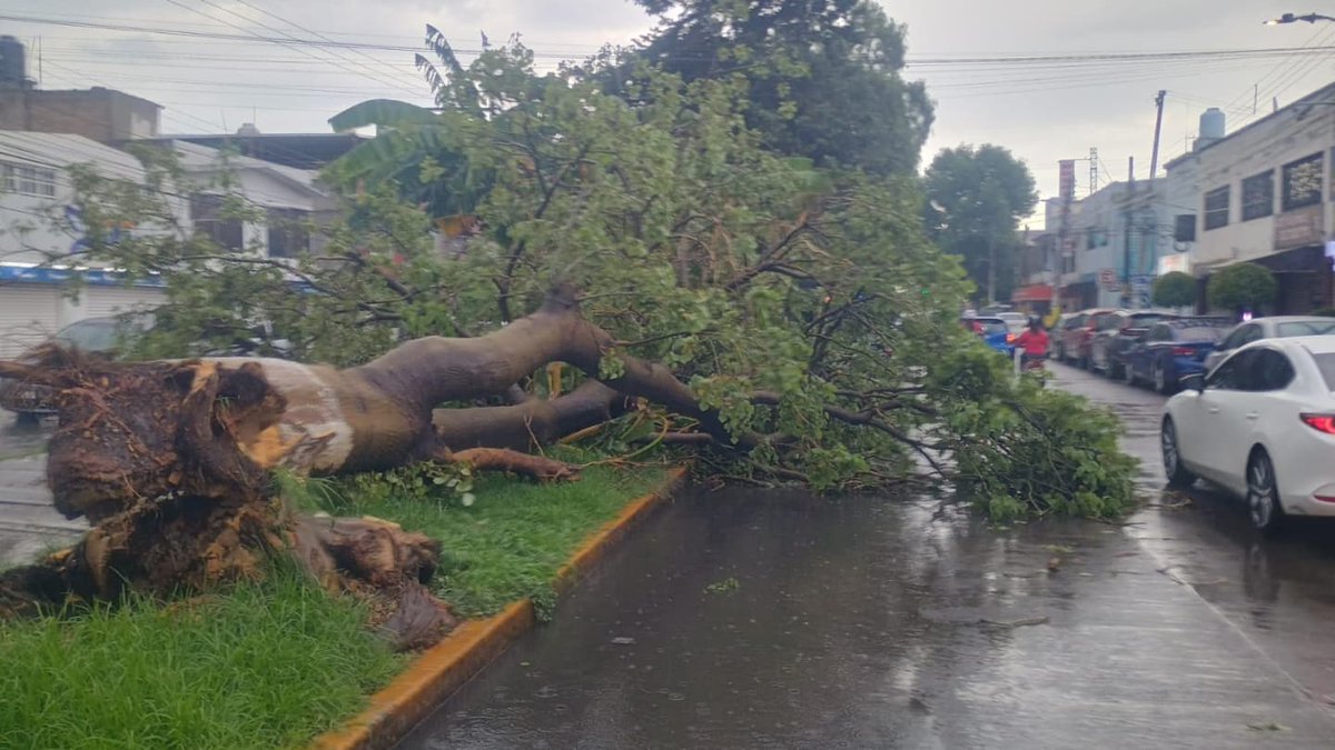 GobCoacalco2022's tweet photo. Tras las lluvias registradas de hoy, nuestros elementos de Protección Civil están en acción, respondiendo a cada reporte y asegurando el bienestar de todos los coacalquenses. #CoacalcoSeguro #ExperienciaYResultadosQueSeNotan https://t.co/ADzYJN4U5E