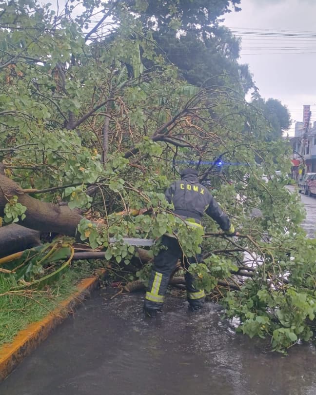 GobCoacalco2022's tweet photo. Tras las lluvias registradas de hoy, nuestros elementos de Protección Civil están en acción, respondiendo a cada reporte y asegurando el bienestar de todos los coacalquenses. #CoacalcoSeguro #ExperienciaYResultadosQueSeNotan https://t.co/ADzYJN4U5E