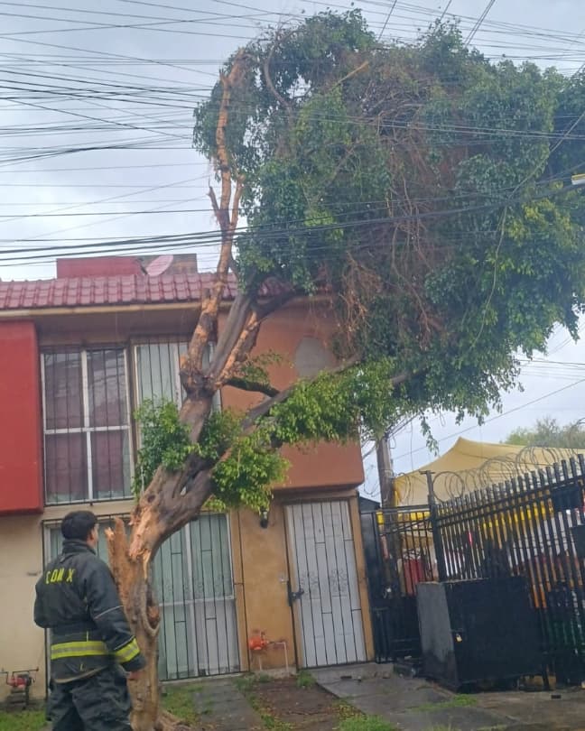 GobCoacalco2022's tweet photo. Tras las lluvias registradas de hoy, nuestros elementos de Protección Civil están en acción, respondiendo a cada reporte y asegurando el bienestar de todos los coacalquenses. #CoacalcoSeguro #ExperienciaYResultadosQueSeNotan https://t.co/ADzYJN4U5E