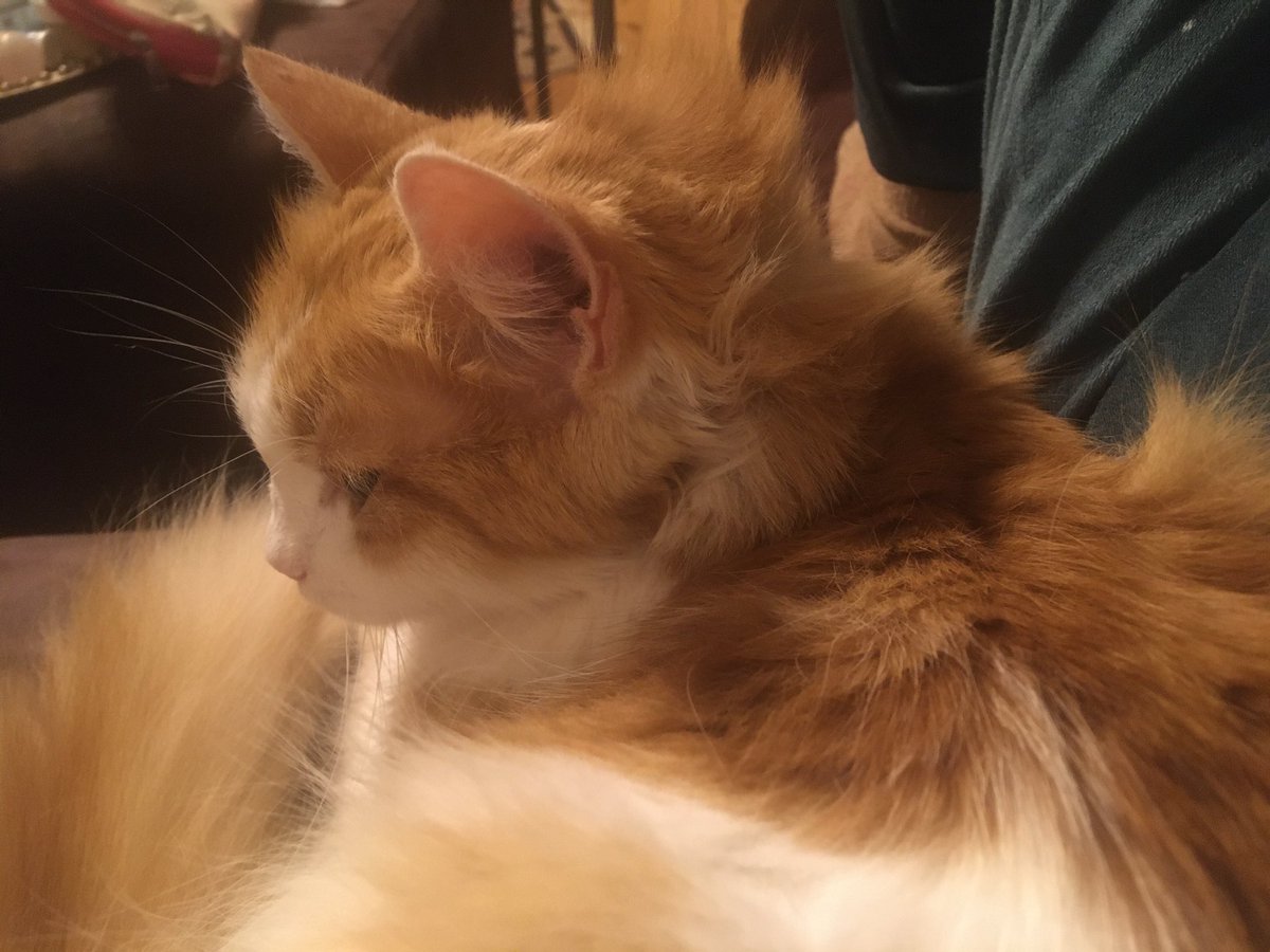 Zaçnarım süperli dimi