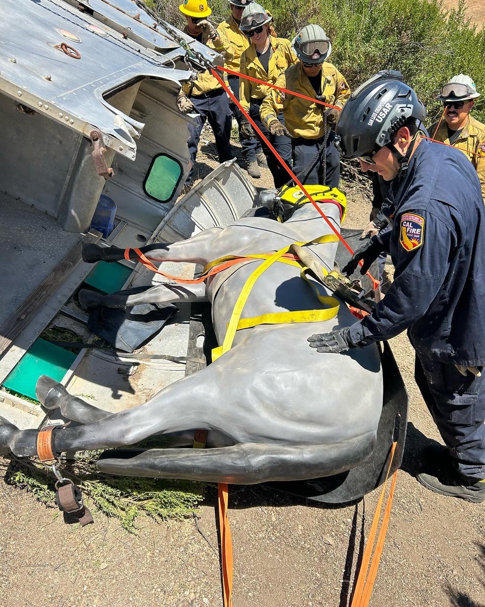 CALFIRE_SLO's tweet photo. #Training  SLO County USAR Large Animal Rescue #Drill in north county on Monday. Participants included USAR members, Nacimiento Fire Center crew Nacimiento Crew 1, Horse Emergency Evacuation Team (HEET), &amp; John Boys Towing . #Slocountyfire #calfireslu https://t.co/JgyDqgcCrr
