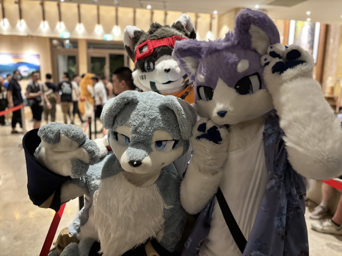ByakuyaCoyote's tweet photo. #furMIT24 #pdtk

エレベーターを待っているみんな、突然遊び始めましたwww

@nemus_ys @Ametis_Grapes @inugami_kenta https://t.co/05oZRY1yZA