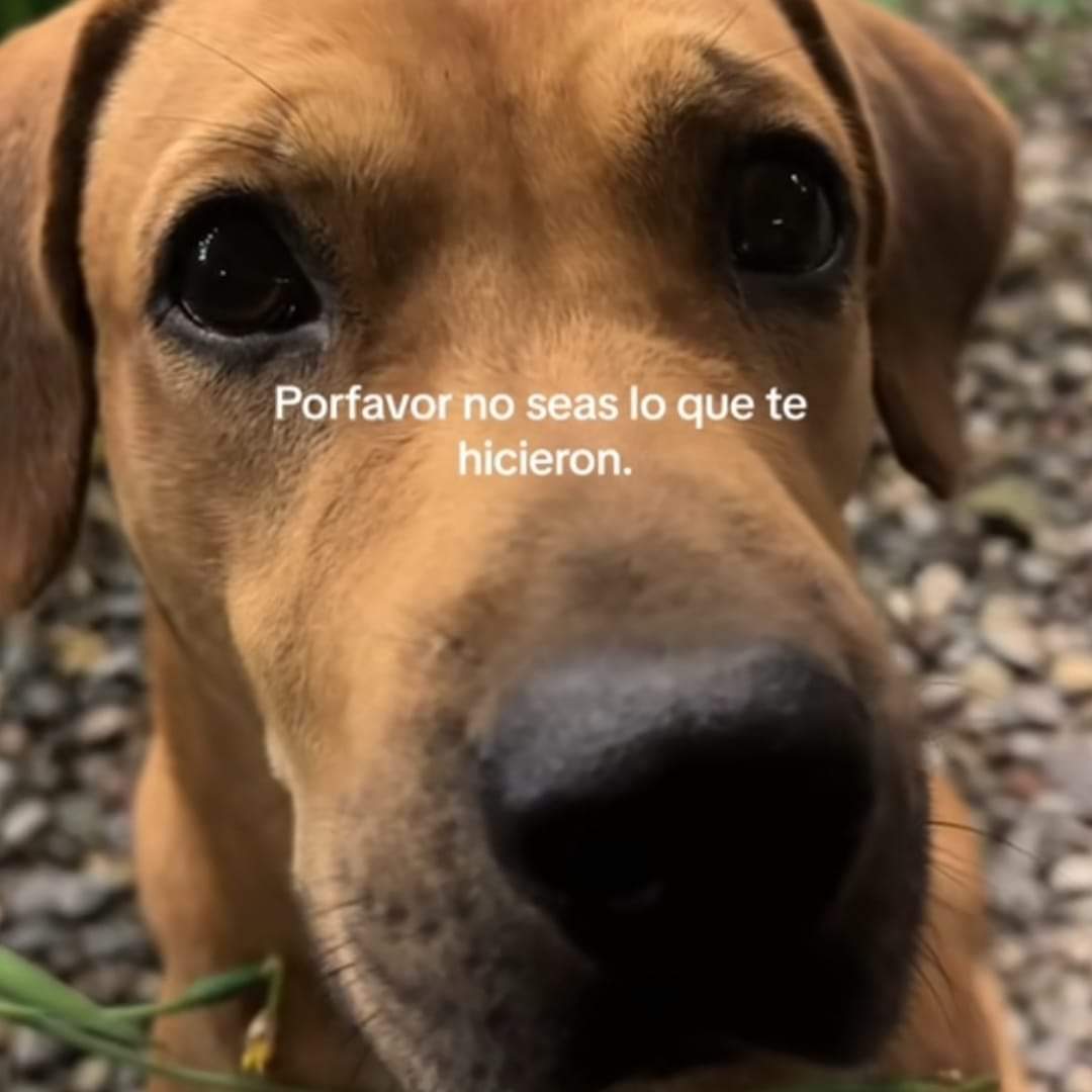 Nasty Poet (@nxstypxet) on Twitter photo 