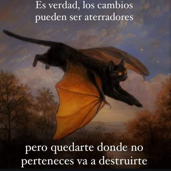 vampiro emocional (@misputaspoesias) on Twitter photo 